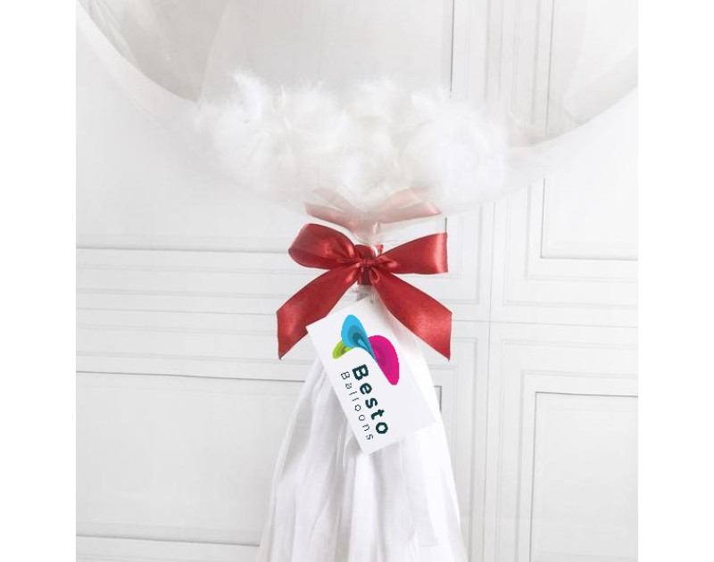White Feather Bubble Balloon
