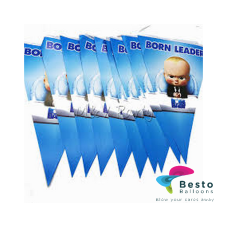 Boss Baby Buntings
