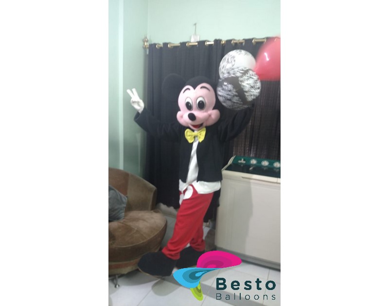 Rental Mascot and Costumes